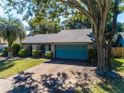 2988 Pinewood RUN Palm Harbor, FL 34684
