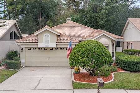 3642 Darston St Palm Harbor, FL 34685