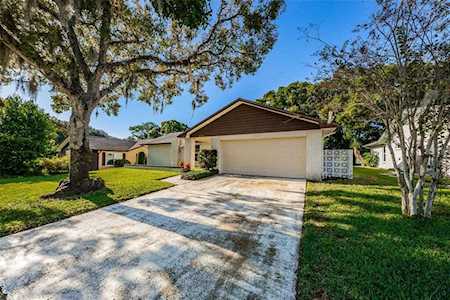 3020 Gregor Ct Palm Harbor, FL 34684
