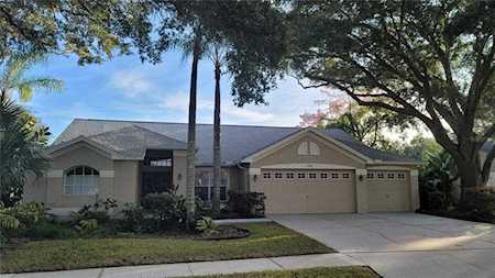 4469 Worthington CIRCLE Palm Harbor, FL 34685