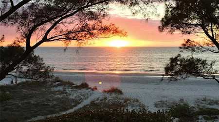 19812 Gulf Blvd #7 Indian Shores, FL 33785