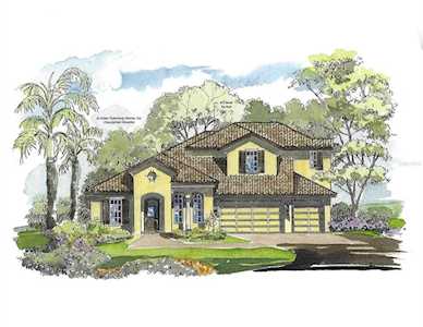 14711 Fishhawk Preserve Dr Lithia, FL 33547