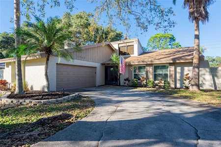 3968 Orchard Hill CIRCLE Palm Harbor, FL 34684