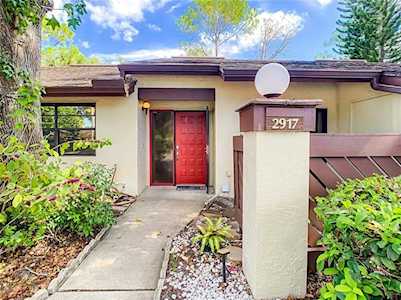 2917 Boxwood Ct Palm Harbor, FL 34684