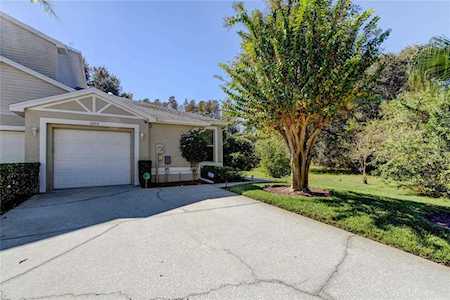 3202 Audubon Ct Tarpon Springs, FL 34688