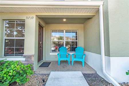 9739 Trumpet Vine LOOP Trinity, FL 34655