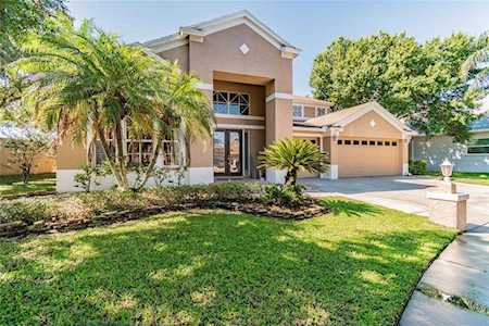 8856 Torchwood Dr Trinity, FL 34655