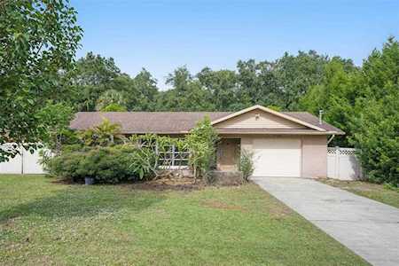 2268 Richter St Dunedin, FL 34698
