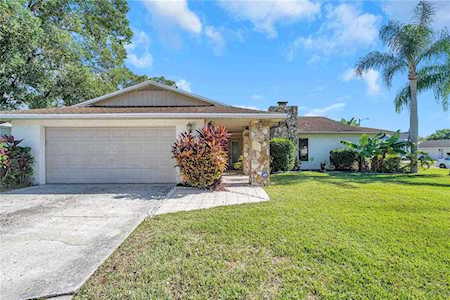 10 Arbor Ln Oldsmar, FL 34677