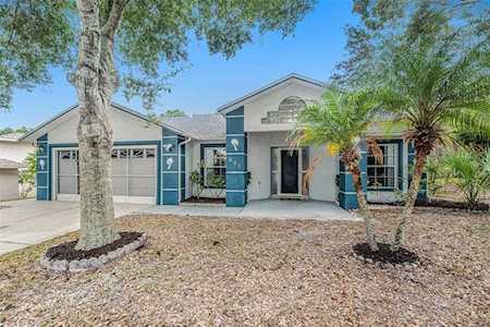 805 High Point Ct Tarpon Springs, FL 34689