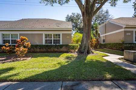 166 Brigton Ct Safety Harbor, FL 34695