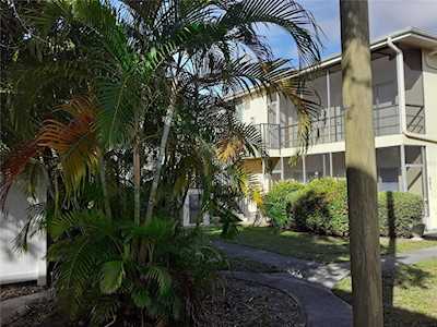 5380 4th St N #203 St. Petersburg, FL 33703