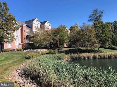 12185 Abington Hall Place #203 Reston, VA 20190