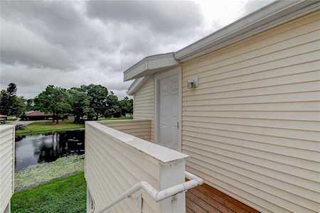 137 Hunter Lake Dr #C Oldsmar, FL 34677