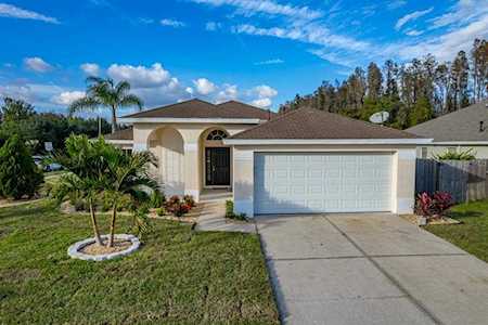 30817 Luhman Ct Wesley Chapel, FL 33543
