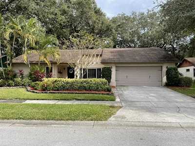 242 Arbor Glen Dr Palm Harbor, FL 34683