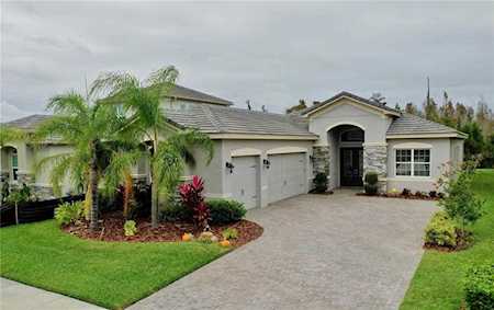 31177 Chesapeake Bay Dr Wesley Chapel, FL 33543