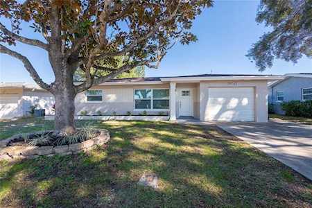 29745 Seacol St Clearwater, FL 33761