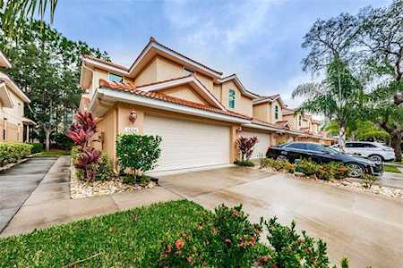 1434 Hidden Ct Tarpon Springs, FL 34689