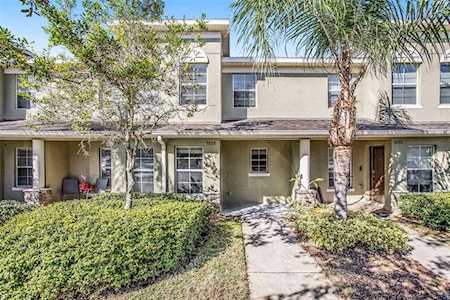 9728 Trumpet Vine LOOP Trinity, FL 34655