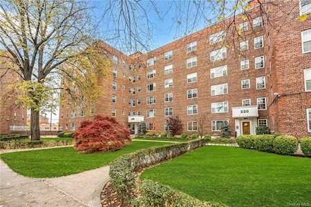 220 Pelham Road #6C New Rochelle, NY 10805