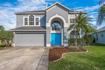 1818 Arturus Ln Trinity, FL 34655
