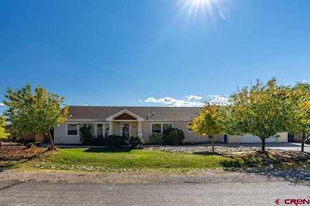 207 Homestead Circle Bayfield, CO 81122