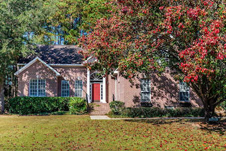 528 Chimney Bluff Dr Mount Pleasant, SC 29464