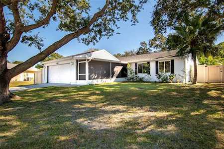 613 Bay Lake Trl Oldsmar, FL 34677