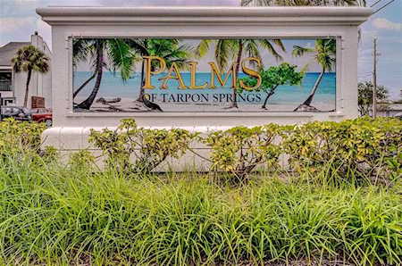 756 Haven PLACE #756 Tarpon Springs, FL 34689