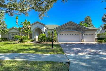 3138 Sunset Lakes Blvd Land O Lakes, FL 34638