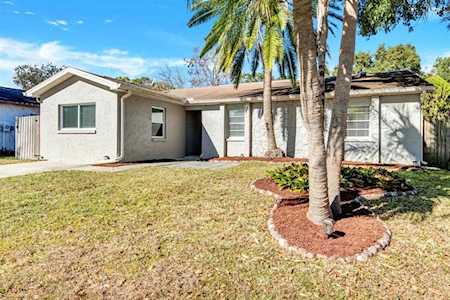 1914 Hudson Ct Oldsmar, FL 34677