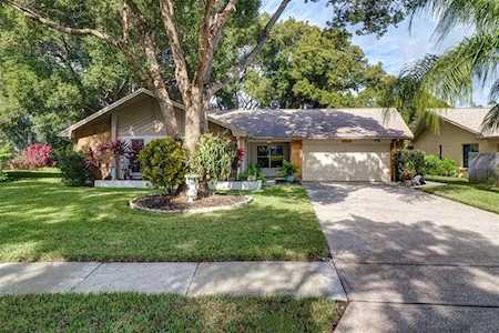 2952 Macalpin Dr N Palm Harbor, FL 34684