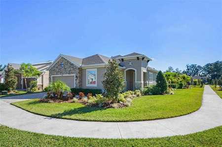 13906 Natures Reserve Dr Lithia, FL 33547
