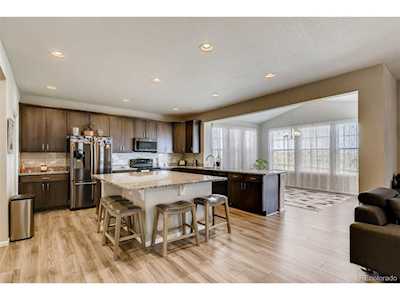 1043 White Leaf Cir Castle Rock, CO 80108