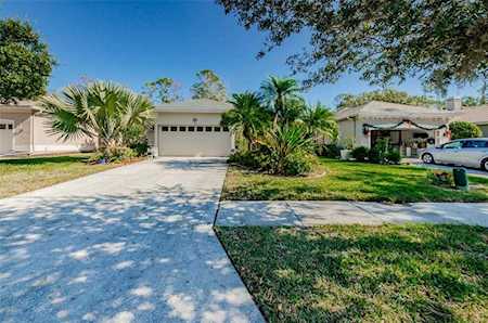 1537 Riverdale Dr Oldsmar, FL 34677