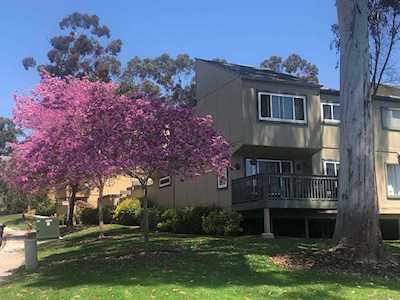 10503 Caminito Sopadilla San Diego, CA 92131