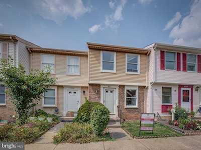 8304 Bark Tree Ct Springfield, VA 22153