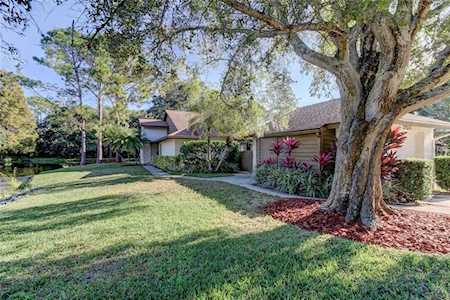 303 Parkside Ln Safety Harbor, FL 34695