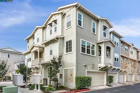 805 Jetty Dr Richmond, CA 94804
