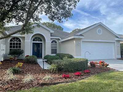 582 Equine Dr Tarpon Springs, FL 34688