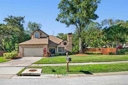 418 Cascade Ln Palm Harbor, FL 34684
