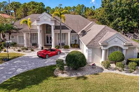 5332 Mira Vista Dr Palm Harbor, FL 34685
