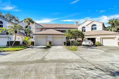 3636 Oak Haven Dr #202 Palm Harbor, FL 34684