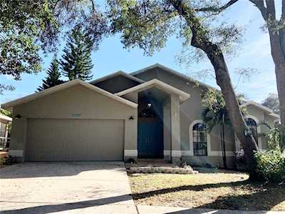 2303 Islander Ct Palm Harbor, FL 34683