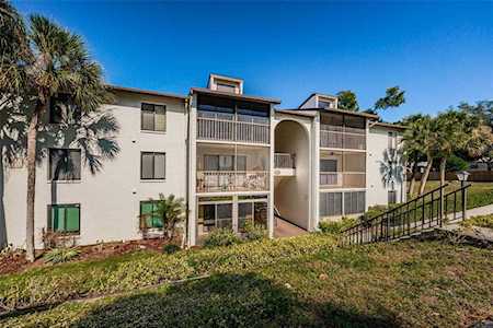 2677 Pine Ridge WAY N #E2 Palm Harbor, FL 34684