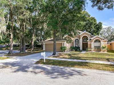 1004 English Bluffs Ct Brandon, FL 33511