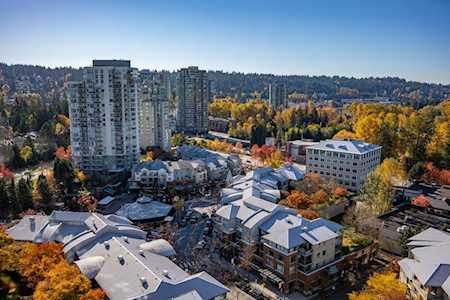 290 Newport Drive #1703 Port Moody, BC V3H 5N2