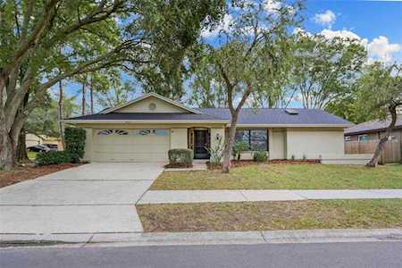 3107 Blue Heron St Safety Harbor, FL 34695