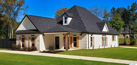1040 Charley Patterson Road New Market, AL 35761